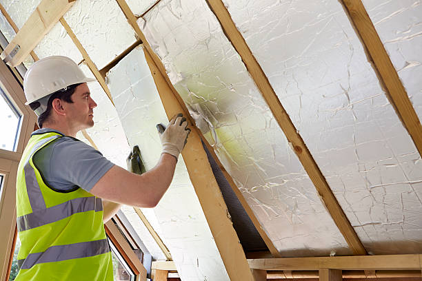Best Insulation for Specific Applications in Ten Mile Creek, MD